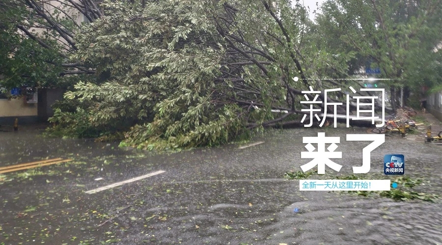 &ldquo;山竹&rdquo;怒過(guò)，高空塔吊你還好嗎？